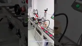 How to customzie labeling machine /Automatic feeding cup pad labeling machine