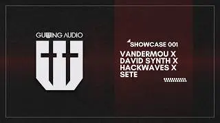 Gutting Audio Showcase 001 - VANDERMOU x DAVID SYNTH x HACKWAVES x SETE