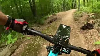 Green Woodlands, NH