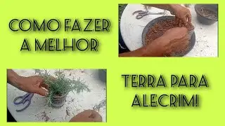 COMO FAZER A MELHOR TERRA PARA ALECRIM FÁCIL E RÁPIDO!