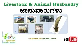 Livestock & Animal Husbandry | ಜಾನುವಾರು | Agriculture Practical Test Specimens| KCET
