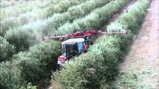 Pruning hedger orchards, olives. Double cutting /Podadora arboles, olivos. Doble barra corte.
