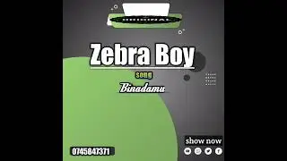 Zebra Boy 