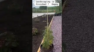 Landscaping is finished - I love it!  #shortsfeed #shorts #ytshorts #garden #landscaping #landscape