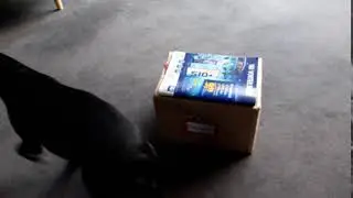 Das Wichtelpaket 1