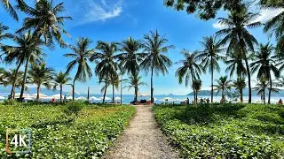 Morning Walk on Nha Trang Beach 🌴☀️ | Vietnam in 4K | Ocean, Park & Promenade Ambience