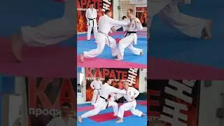 #bunkai Kata Junro #karate #piatsko #martialarts #空手 #空手道 #zuki #reverse #sensei #shotokan #profi