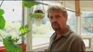 Oasis Hybrid Homes.com