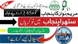 Suthra Punjab Program Jobs 2025 New | Pakistan Government job | MWMC Jobs Latest