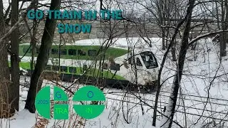 January 17 2026 Go Train Seen From Shickluna St In St.Catharines!