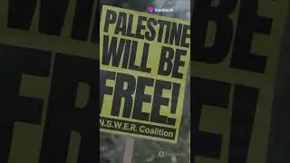 Stand with Palestine: A Call for Unity #humanrights #freepalestine  #endthewar