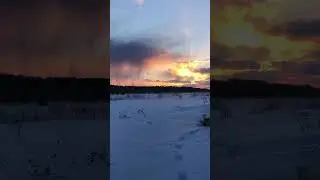 Beautiful winter sunset 🌅 #nature #snow #winter #forest #sunset #shorts