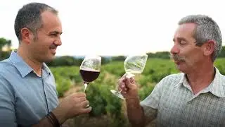 Film Châteauneuf-du-Pape