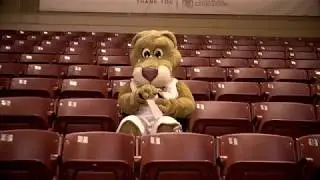 What Does Clyde the Cougar Do When CofC Students Are on Break?