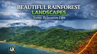 Heavenly Green Nature | Cinematic Forest, Mountains & Ocean Aerial Views | Relaxing Nature Video