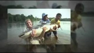 Amazon-Angler, Amazon Fish Species