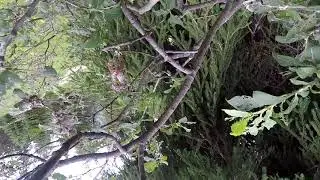 EPIC DRONE FAIL - CRASH Compilation 2020 - FPV Freestyle - High Speed Crashes