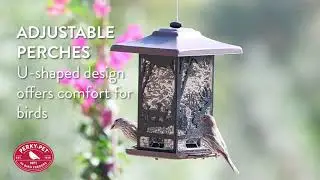 Perky-Pet&reg; Wilderness Lantern Bird Feeder | Benefits