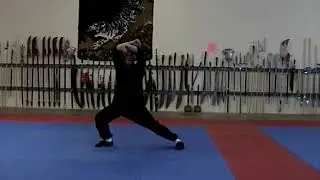IA Kung Fu Shaolin Crane Form