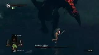 Black Dragon Kalameet | Soul Level 1 NG+6 Fresh Start Flawless - Dark Souls Remastered