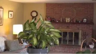 1974 Stewart Drive, Hatfield, PA 19440