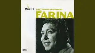 Caballo que tanto quiero (En cualquier raza se encuentra)