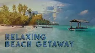Relaxing Beach Music TV for Dogs