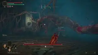 ELDEN RING Fringefolk Hero's Grave Ulcerated Tree Spirit glitched. possible cheese? READ DESCRIPTION