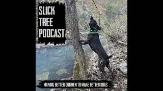 Ep. 21: Good Ol' Dog! Southern Midnight Doc with Kent Johnson