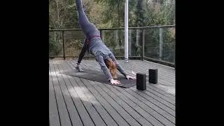 Intuitive Flow with Stevie: 60 min
