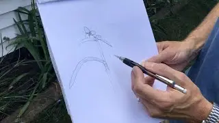Drawing Plants