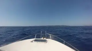 Drago Fiesta 600 Summer 2020