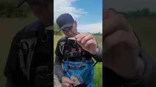VMC Barbless Hooks and WHY you Need Them For Trout #barbless #troutfishing #rapala #vmc
