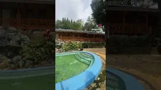 Penginapan 100rban di Ciater dengan kolam air hangat #ciater #villamurah #D&rsquo;pineapple #viral #shorts