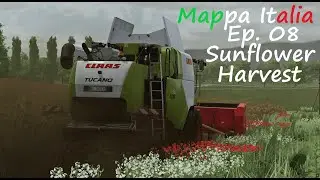 FS 22 Realistic Gameplay / Mappa Italia EP 08 / Harvesting Sunflower / Claas Tucano 430
