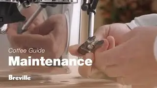 The Barista Pro&trade; | Clean and unblock your steam wand for microfoam perfection | Breville USA