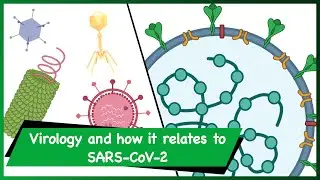 Topics in Biology | Virology and how it relates to the SARS-CoV-2 pandemic