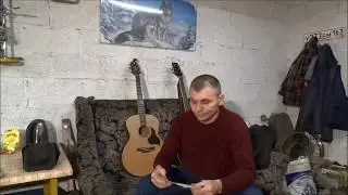 мои гитары