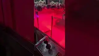 #Shorts:⏱️ Watch Me Win a Watch at the Claw Machine! 🎉🕹️