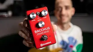 Педаль эффектов GAMMA Bacchus Dynamic Driver | Демонстрация и особенности с Николасом Вейноглу
