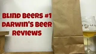 Blind Beers #1 - Darwin's Beer Reviews - Ep. #673