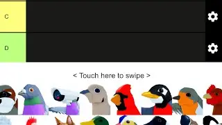 Ranking all feather family birds