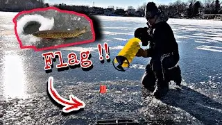 Michigan 2022 First Ice Tip Up Fishing for Pike