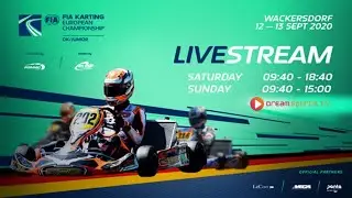 FIA Karting European Championship Junior & OK Round 3 Wackersdorf  Finals Sunday (GER)