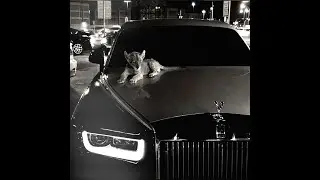 MAX 808-WASTED