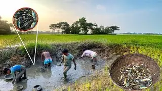 খন্তা সেঁচে মাছ ধরা | Best Village Fishing 