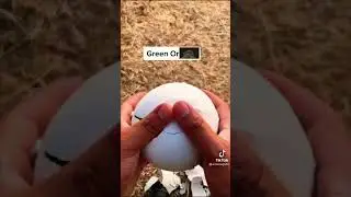 green or hello guys welcome to my minecraft let&rsquo;s play ￼
