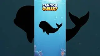 Угадай тень морского животного | Забавный короткометражный фильм для детей | | Раскрытие тайны бе...