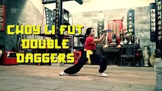 Hung Sing Choy Li Fut Kung Fu - Double Daggers Form