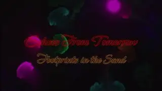 Echoes From Tomorrow - Footprints in the Sand | #music #lyrics #lyricvideo #girlband #girlpower